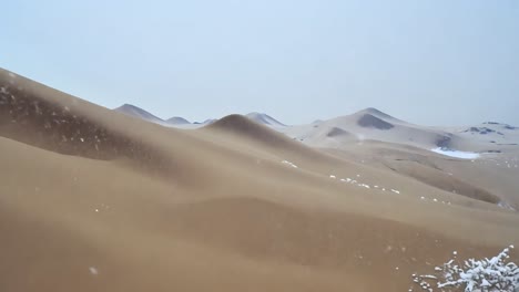 la nieve cae en un paisaje desértico