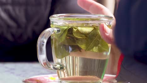 glass cup of coca leaf tea.mp4