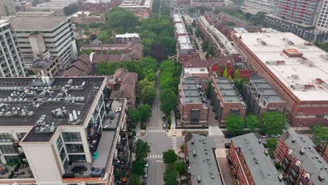 stedelijk landschap met hoogbouw en met bomen omzoomde straten