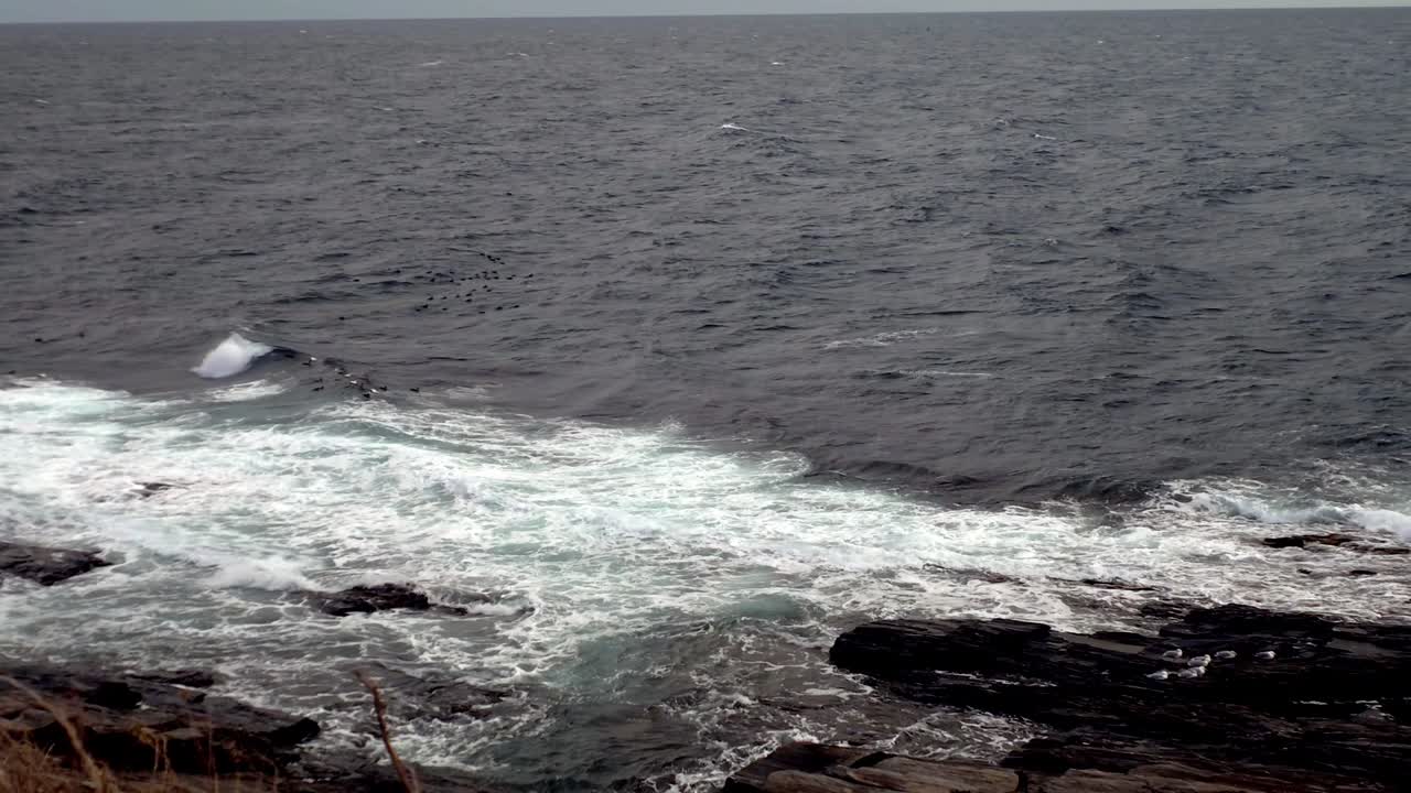 Onde che si infrangono sugli scogli oceanici