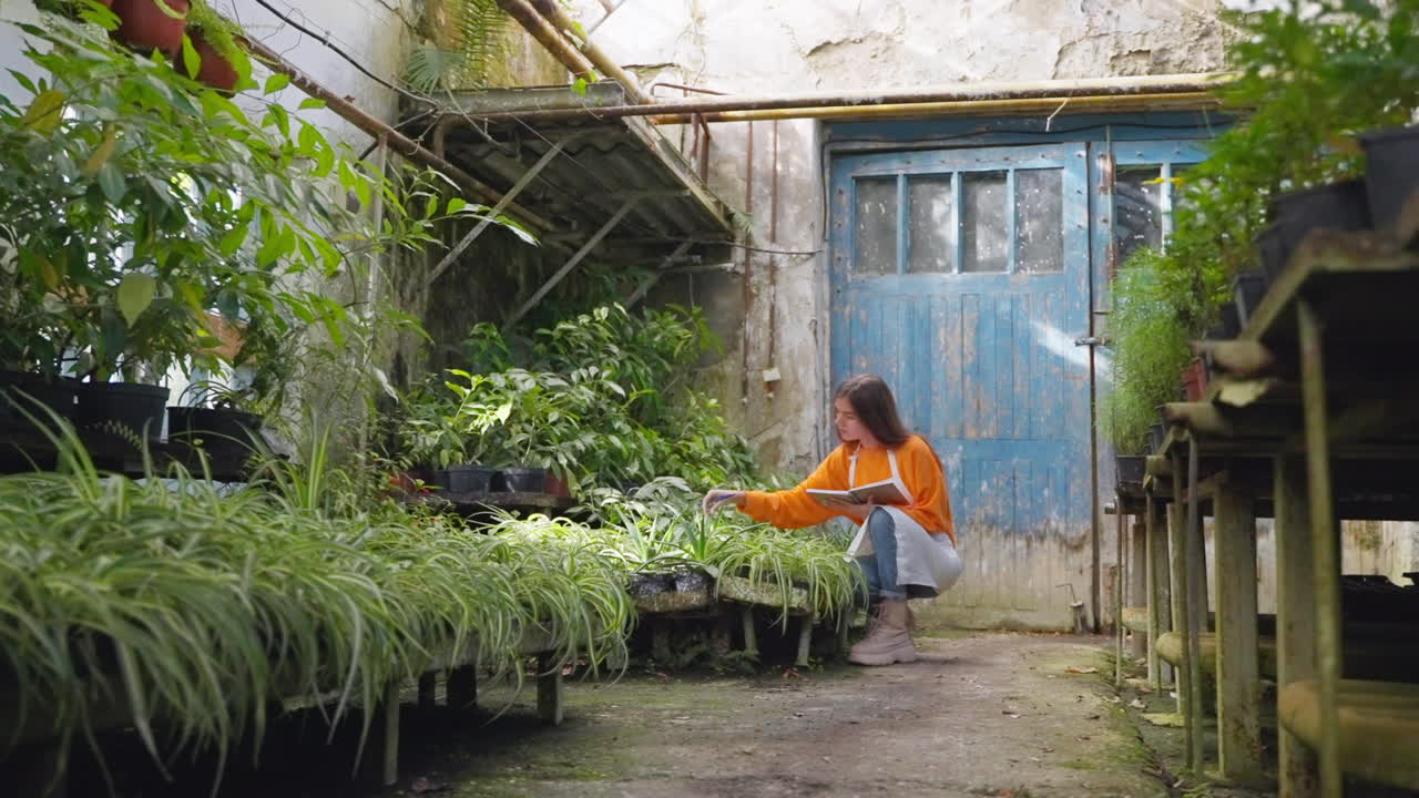 은 온실 에서 식물 을 돌보는 여자