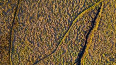 Vista-Aérea-Directamente-Hacia-Abajo-De-Patrones-En-La-Naturaleza-En-Un-Pantano-De-Pastizales