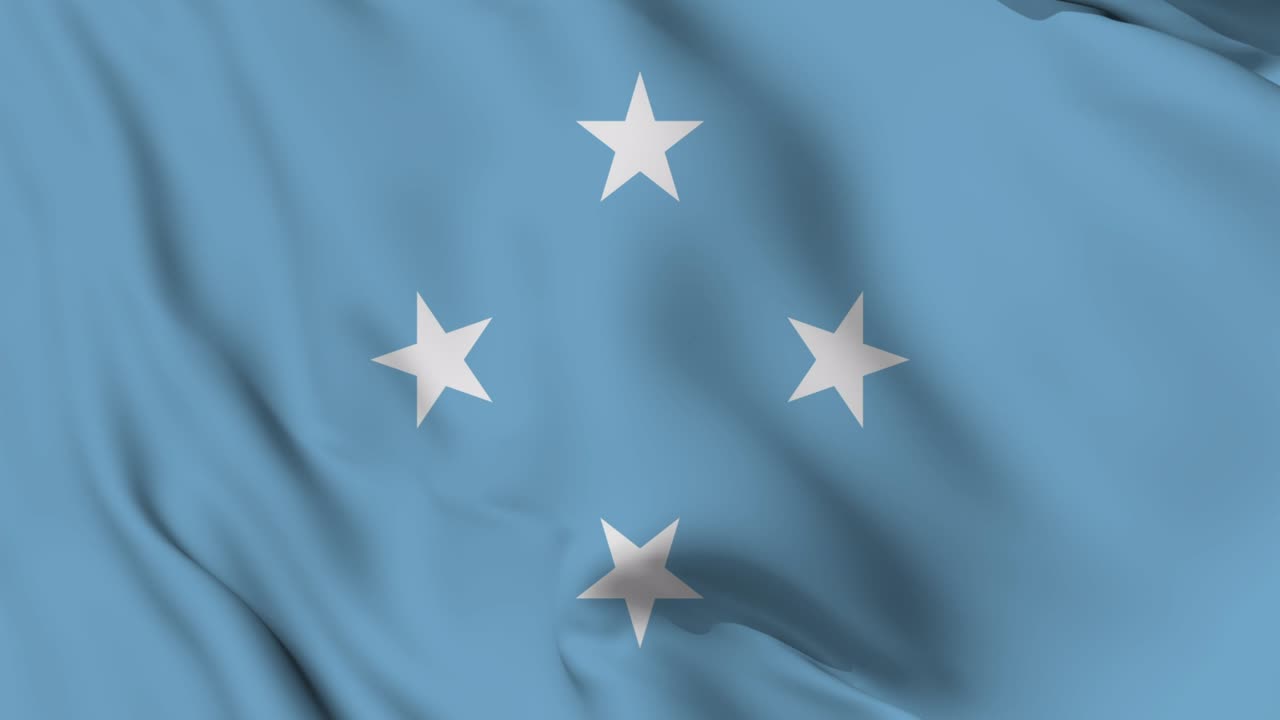 미크로네시아의 발을 흔들고 있는 애니메이션