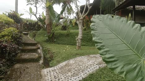 up-hill-footpath-next-to-jungle-huts