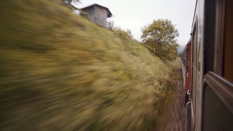 Mirando-A-Lo-Largo-De-Un-Tren-Mientras-Viaja-Por-Las-Vías-Del-Tren-Viendo-El-Paisaje-Verde-Pasar-Corriendo