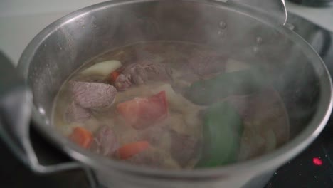 meat and vegetable stew in pot with steam rising, closeup
