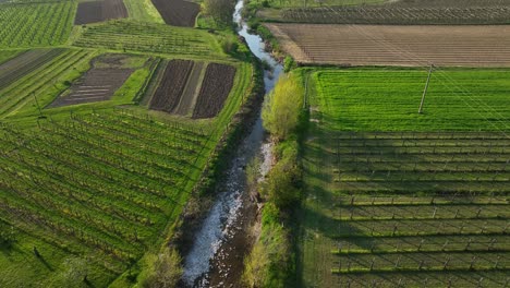 river canals through vineyards at vipava valley in slovenia. aerial drone shot
