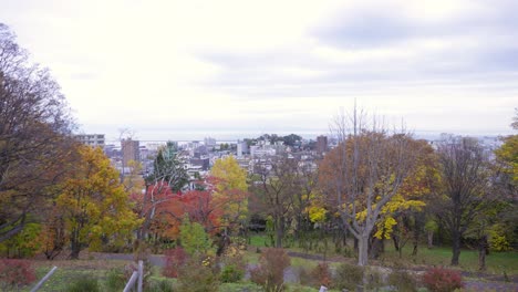 la mejor vista en otaru