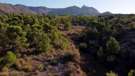 Volando-Sobre-Un-Bosque-Y-Montañas-Del-Sur-Del-Mediterráneo