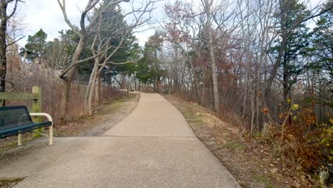 Walking-Path-Sidewalk-with-Bench-and-Surrounding-Trees,-Aerial