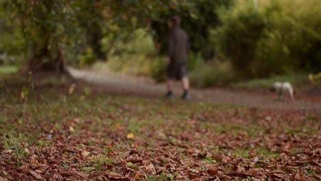 Paar-Und-Hund-Machen-Einen-Spaziergang-Im-Park