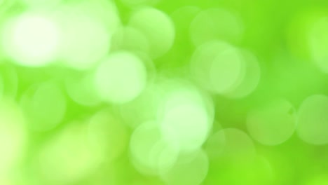 bokeh verde y fondo borroso