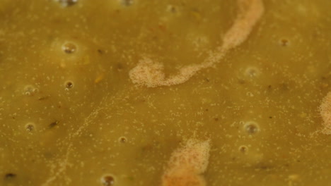 cooking traditional indian meal palak panir with spinach and cheese close up. palak paneer is an indian dish, consisting of paneer in a thick paste made from pureed spinach, palak paneer is prepared by first boiling and pureeing spinach.