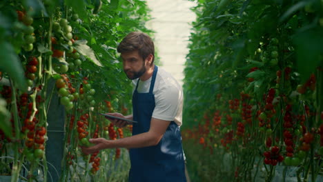 Agricultor-Recogiendo-Tabletas-De-Investigación-Cultivando-Hortalizas-En-Una-Granja-Tecnológica.