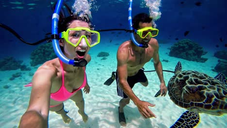 couple snorkeling with sea turtle