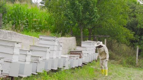 Imker-Bei-Der-Arbeit-In-Der-Nähe-Der-Bienenstöcke.