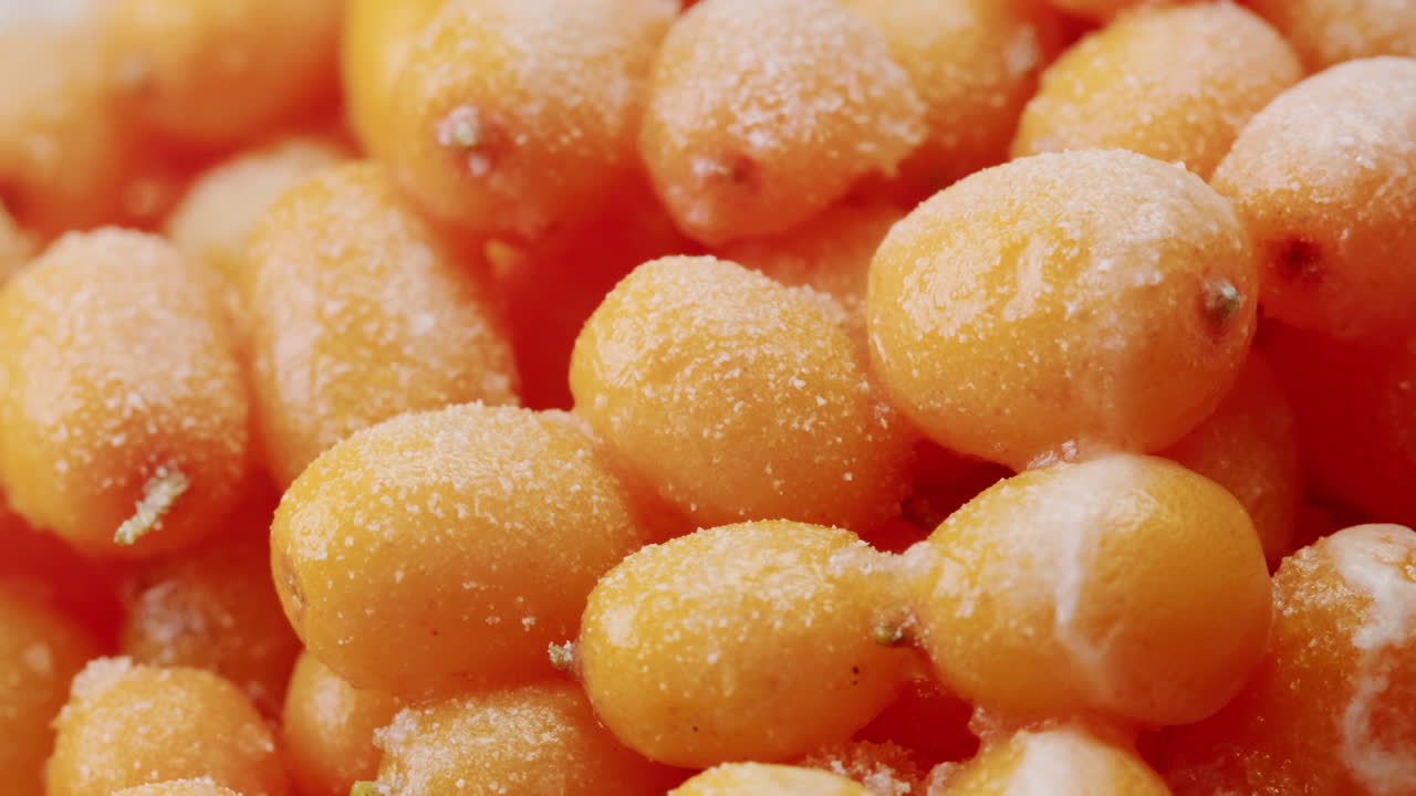 해바라기 건강한 베리 차 음료, 유리 항아리 및 잎을 가진 가지에 얼어붙은 익은 베리 어두운 나무 농촌 배경에  뷰, 피부, 심장, 혈관 및 면역 체계에 훌륭합니다.