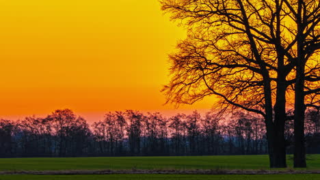 Toma-Estática-De-Un-Hermoso-Cielo-Nocturno-En-Colores-Naranja-Y-Amarillo,-Inusual-Vista-Del-Atardecer-Antes-Del-Anochecer-En-Una-Colorida-Vista-Panorámica