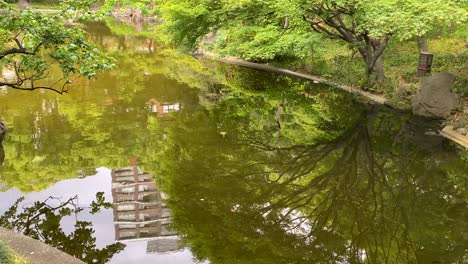 東京最美麗的景色