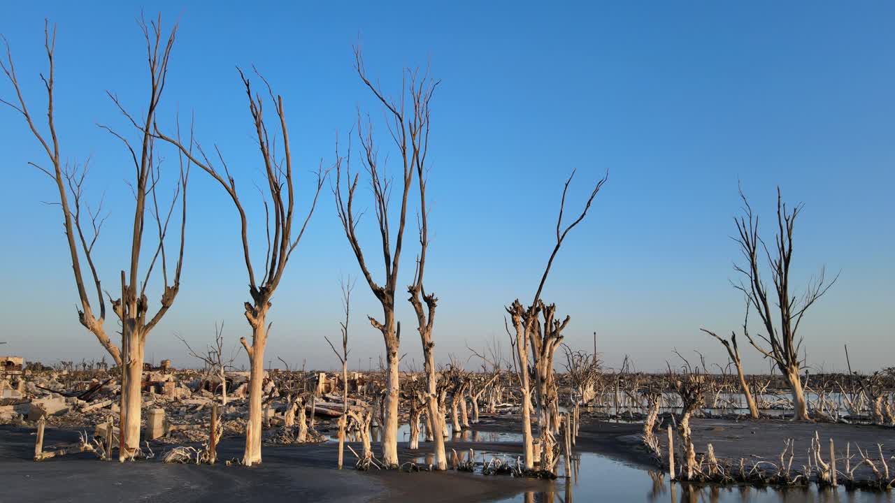 빌라 에페쿠엔의 재앙적인 역사적 홍수 후 잔해와 죽은 나무