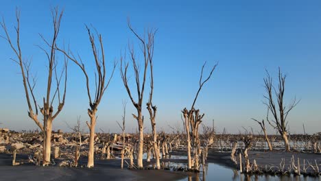 瓦<unk>和枯木在villa epecuen的灾难性历史洪水后