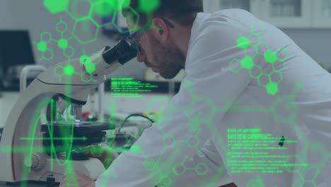 Animation-of-data-processing-and-molecules-over-male-doctor-working-in-lab