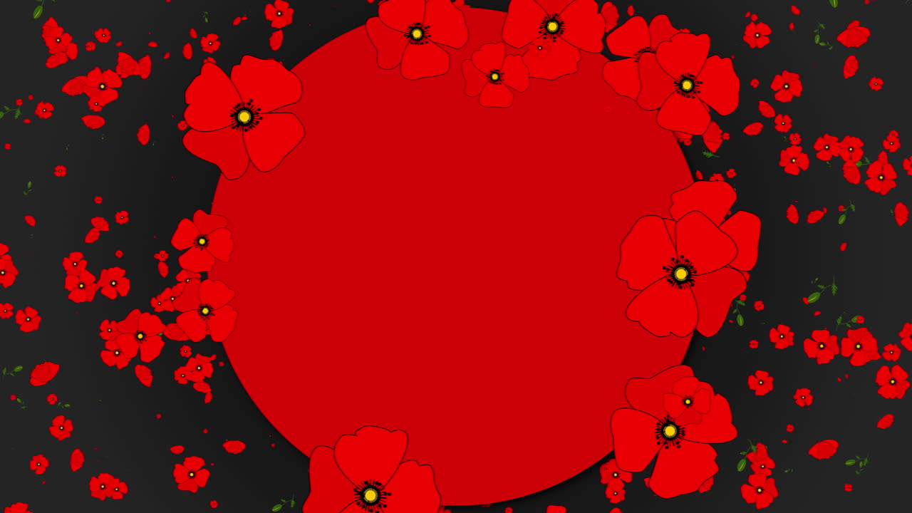 Red poppies rotating on black animated background. Looped motion graphics. Red circle blank space for text. Symbol of both Remembrance and hope for a peaceful future.