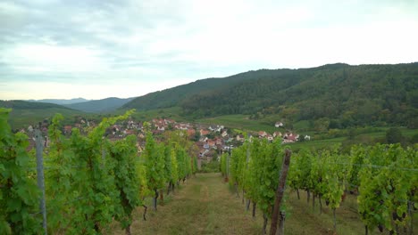 Die-Stadt-Riquewihr-Ist-Von-Mittelalterlichen-Befestigungsanlagen-Umgeben-Und-Wird-Von-Einer-Burg-Aus-Derselben-Zeit-überragt,-Die-Heute-Ein-Museum-Ist