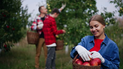 happy long-haired lady with basket of apples in her hands looks at fruit she's picked. man and boy gather apples from a tree at backdrop in blur.