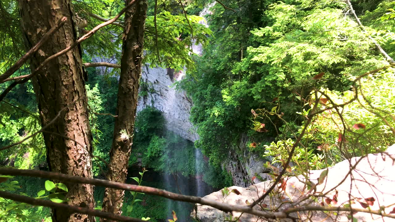 Excursión a una cascada