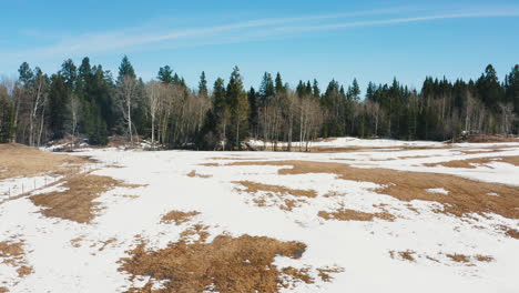 Arial-slide-over-patchy-frozen-farmland-field-with-evergreen-tree-line-surrounding