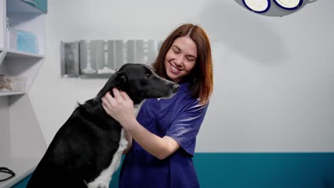 portrait happy girl veterinarian in blue uniform petting black dog during examination in veterinary clinic and posing