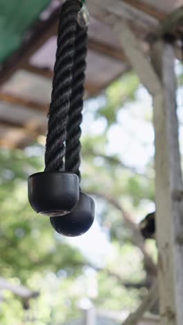gym equipment