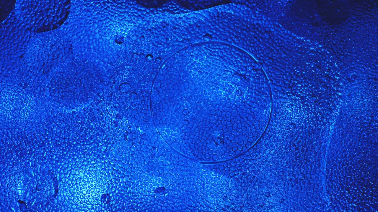 Oil floats on the surface of the water