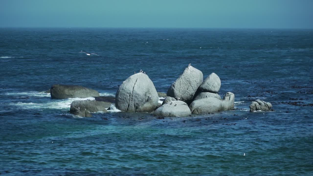 сцена дикой природы с огромными валунами на фоне синего океана в кейптауне, южная африка