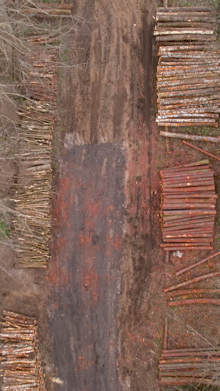 High angle aerial shot showing stacked timber logs and muddy tracks in a cleared forest area, highlighting industrial logging and environmental impact