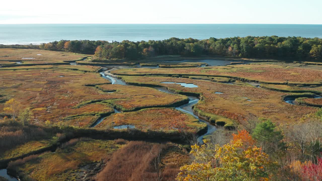 Flying towards the sea above woodlands and marsh in Maine