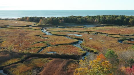 flying towards the sea above woodlands and marsh in maine