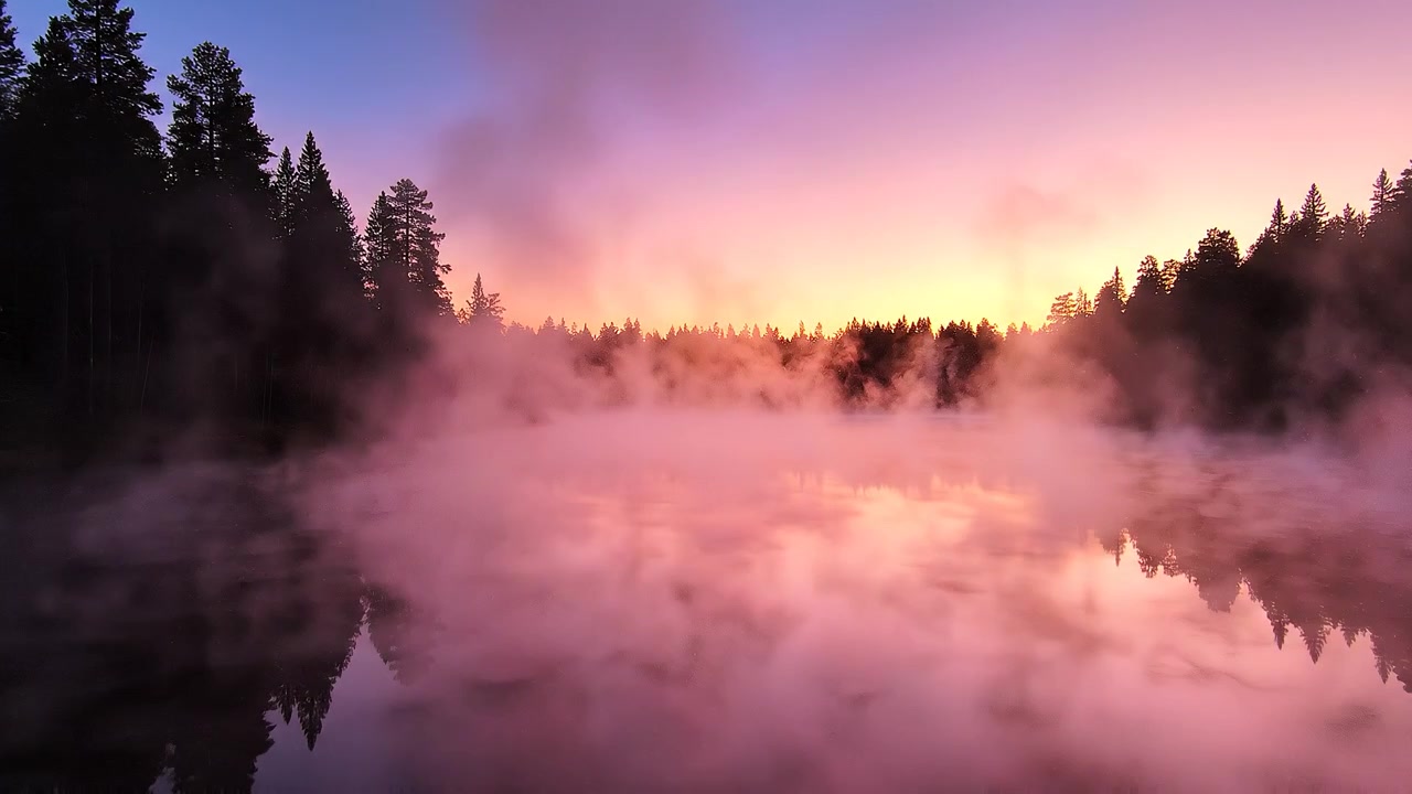 Lago nebbioso con vapore che sale all'alba in una pineta.