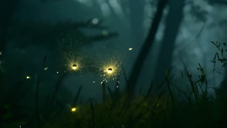 fireflies in a forest at night