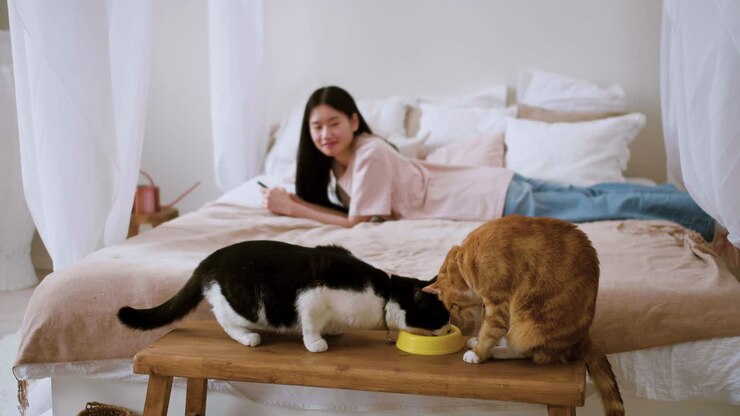 Donna che allatta i gatti