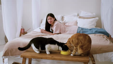 woman feeding cats