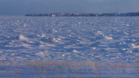 Die-Gefrorene-Weite-Von-Hudson-Bay-Manitoba-Kanada-1