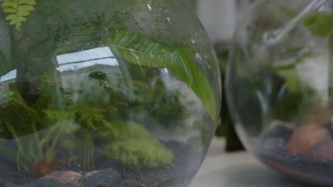 taller floral con pequeños ecosistemas en los terrarios primer plano del panorama de los tarros de vidrio confeccionados a la derecha