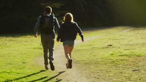 a couple run hand in hand towards a forest