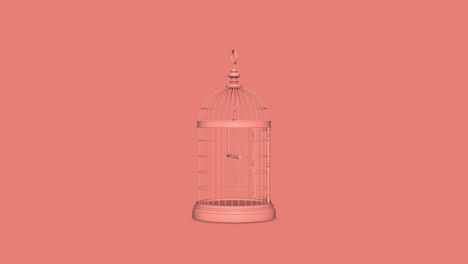 decorative bird cage 4k