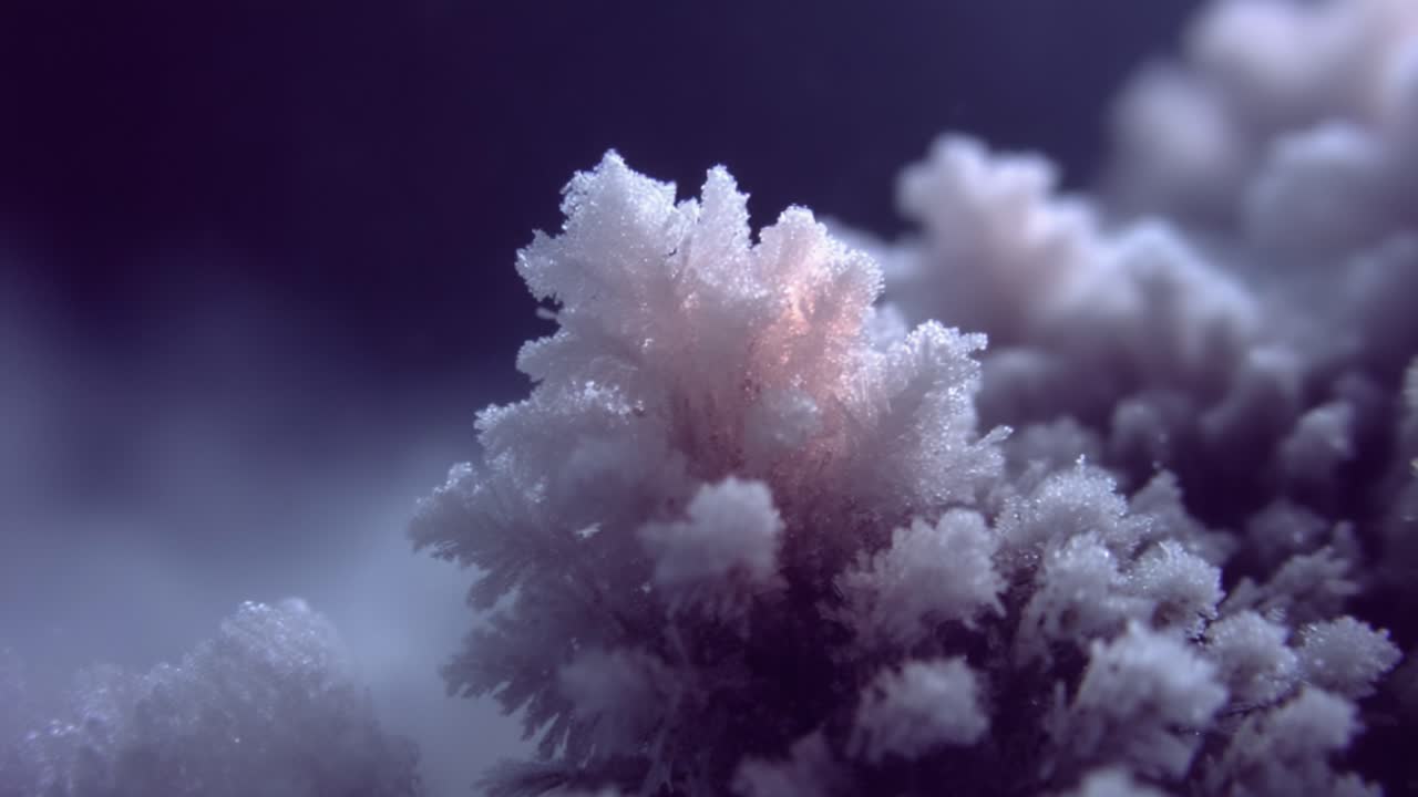 Intricate close-up of ethereal coral formations showcasing delicate textures and glowing shades in an enchanting underwater realm, highlighting the beauty of marine ecosystems