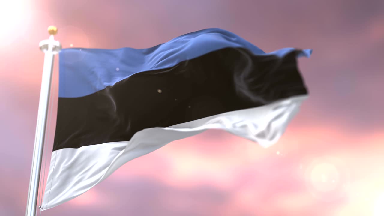 Flag of Estonia waving at wind at sunset in slow, loop