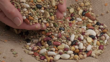 hands giving mixed beans legumes on jute background at slow motion