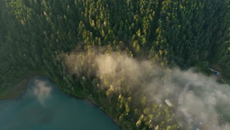 aerial view of the morning sun illuminating the california forest with a river and light cloud framing the shot